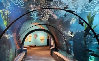 Acuario de la Costa de Oregón