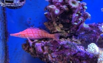 Shreveport Aquarium