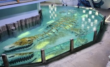 Acuario Interactivo de Houston y Reserva de Animales