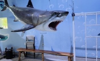 Houston Interactive Aquarium & Animal Preserve
