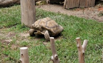 Houston Interactive Aquarium & Animal Preserve