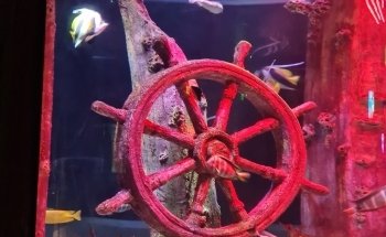 SEA LIFE Kansas City Aquarium