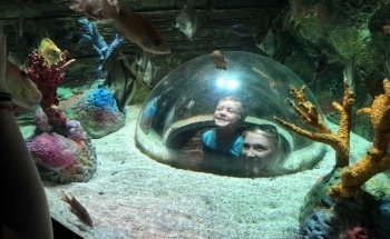 SEA LIFE Kansas City Aquarium