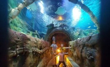 Acuario SEA LIFE Kansas City