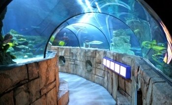 Acuario SEA LIFE
