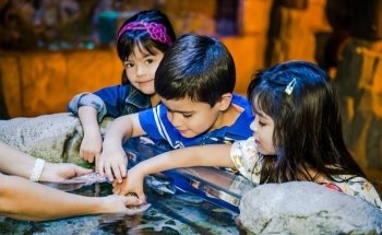 Acuario SEA LIFE Arizona