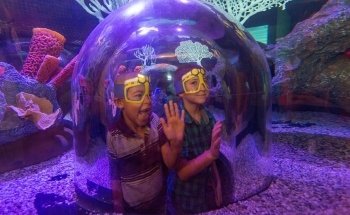 SEA LIFE Arizona Aquarium