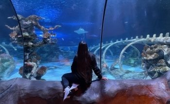 SEA LIFE Arizona Aquarium