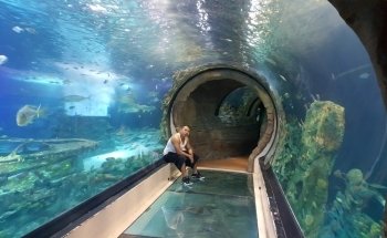 SEA LIFE Arizona Aquarium