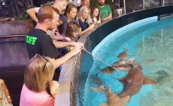 Branson's Wild World