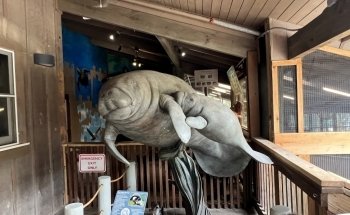 Marine Science Center