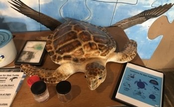 Marine Science Center