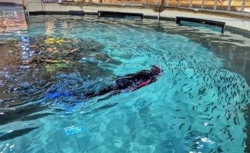 Florida Keys Aquarium Encounters