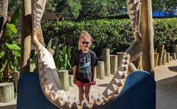 Florida Keys Aquarium Encounters