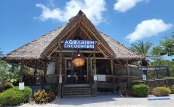 Florida Keys Aquarium Encounters