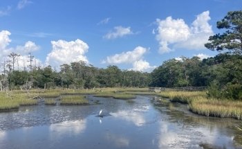 North Carolina Aquarium at Pine Knoll Shores