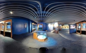 North Carolina Aquarium at Pine Knoll Shores