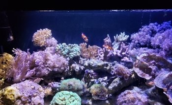 Alabama Aquarium at the Dauphin Island Sea Lab