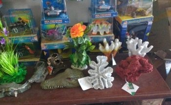 Acuario Oasis