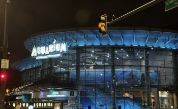 Aquarium Restaurant