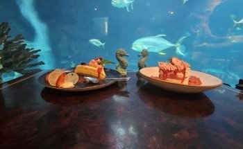 Aquarium Restaurant