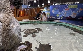Blue Zoo Aquarium Spokane
