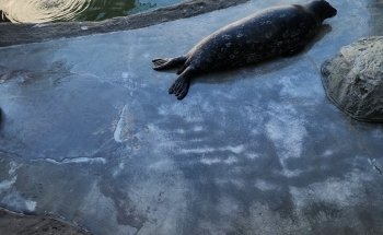 Ocean World