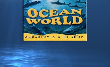 Mundo Oceánico