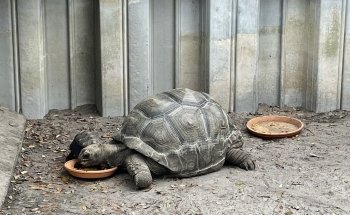 Tarpon Springs Aquarium and Animal Sanctuary