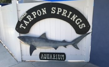 Acuario y Santuario de Animales de Tarpon Springs