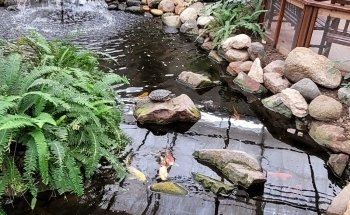 Butterfly House & Aquarium