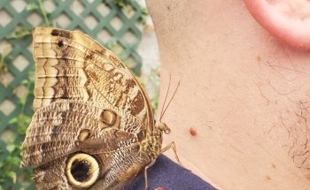Butterfly House & Aquarium