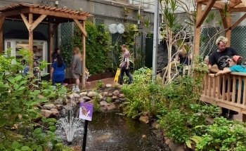 Butterfly House & Aquarium