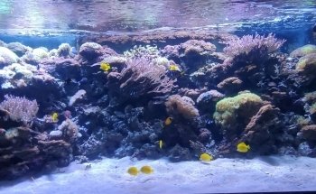Children's Aquarium Dallas at Fair Park
