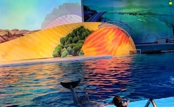 St. Vincent Dolphin Pavilion