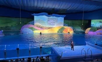 St. Vincent Dolphin Pavilion