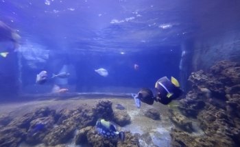 East Idaho Aquarium