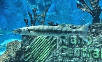 East Idaho Aquarium