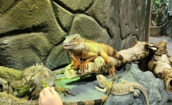 East Idaho Aquarium