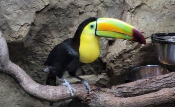 Electric City Aquarium & Reptile Den