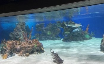 Electric City Aquarium & Reptile Den