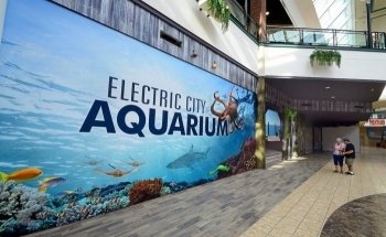 Acuario de Electric City & Refugio de Reptiles