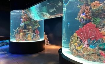 Electric City Aquarium & Reptile Den