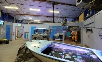 Aquarium of Boise