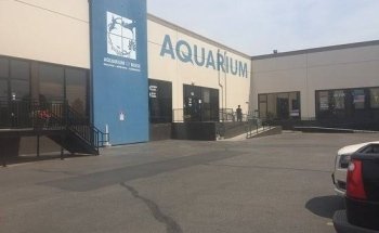 Aquarium of Boise