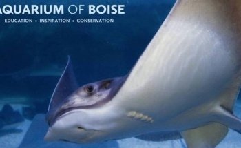 Aquarium of Boise
