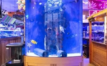 Aquatic Marine