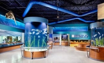 Cox Science Center and Aquarium