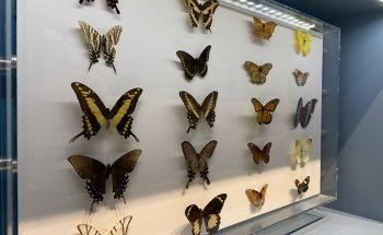 Cox Science Center and Aquarium