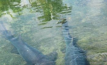 Florida Oceanographic Coastal Center